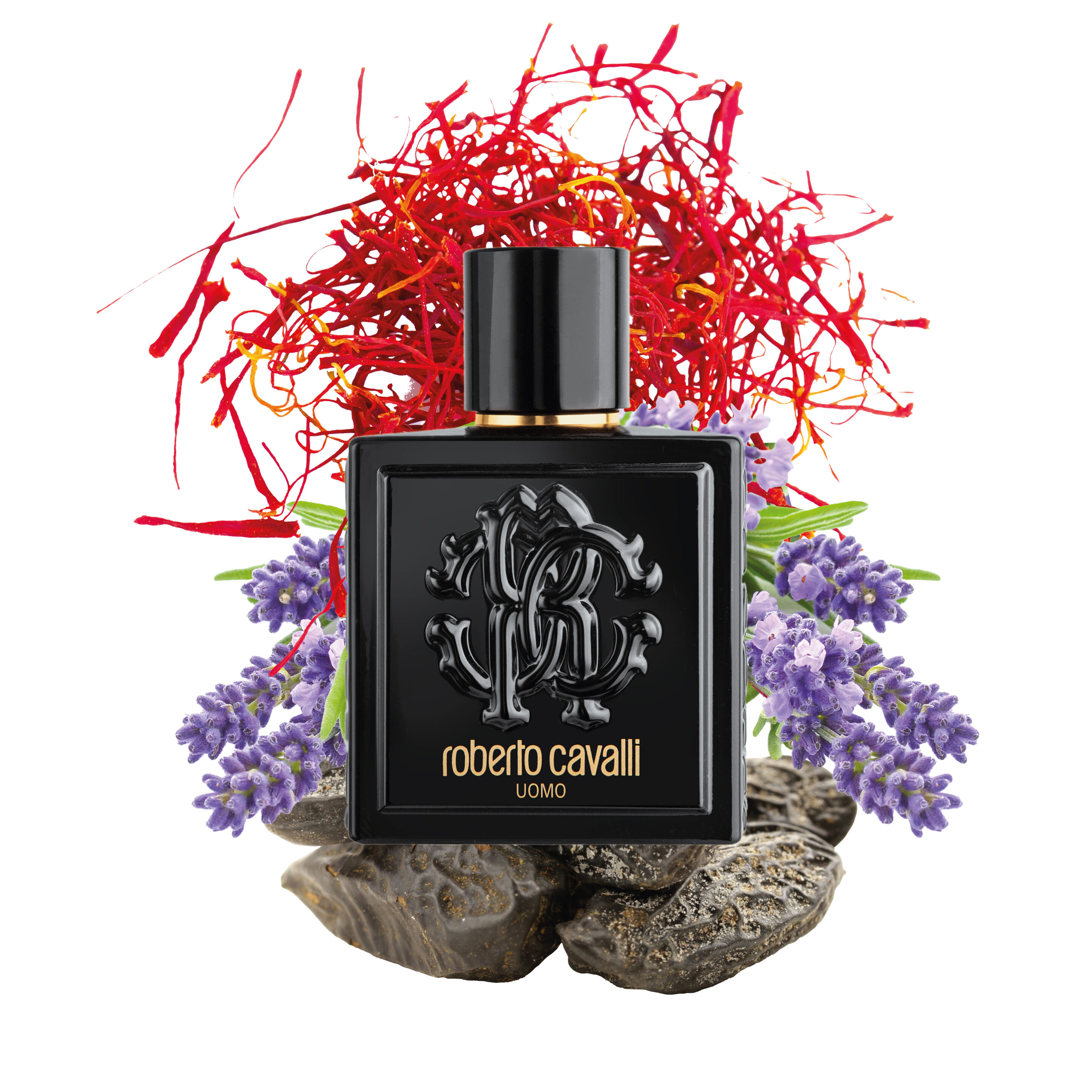 RC ROBERTO CAVALLI UOMO EAU DE TOILETTE 100 ML Black SAW015-SA023