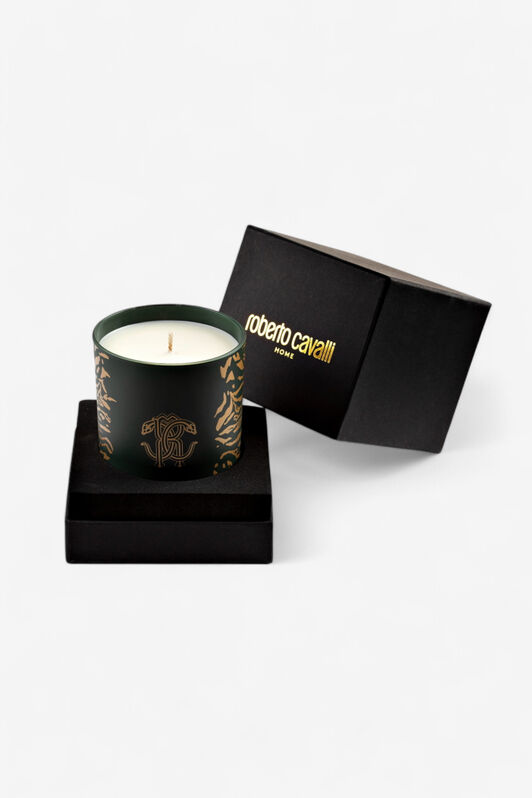 HO Wild Jungle Scented Candle 220 G Verde oscuro TALA04-IA098