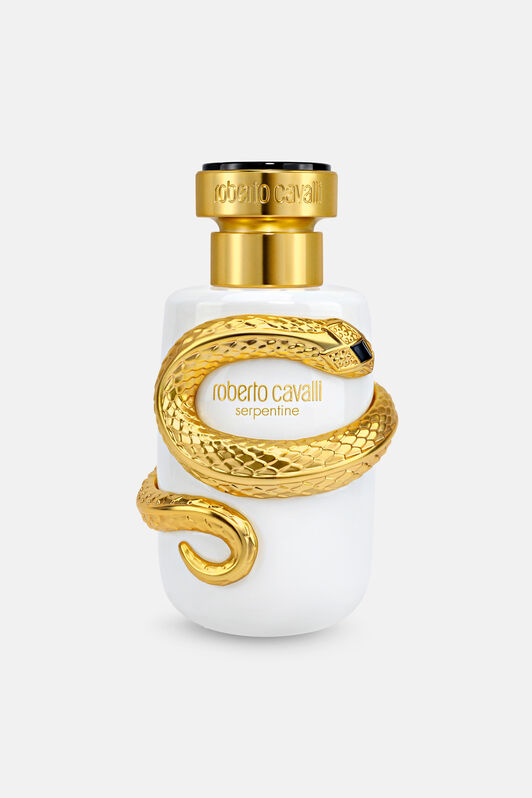RC Serpentine Parfum 100 ml GENERIC UALI15-II019