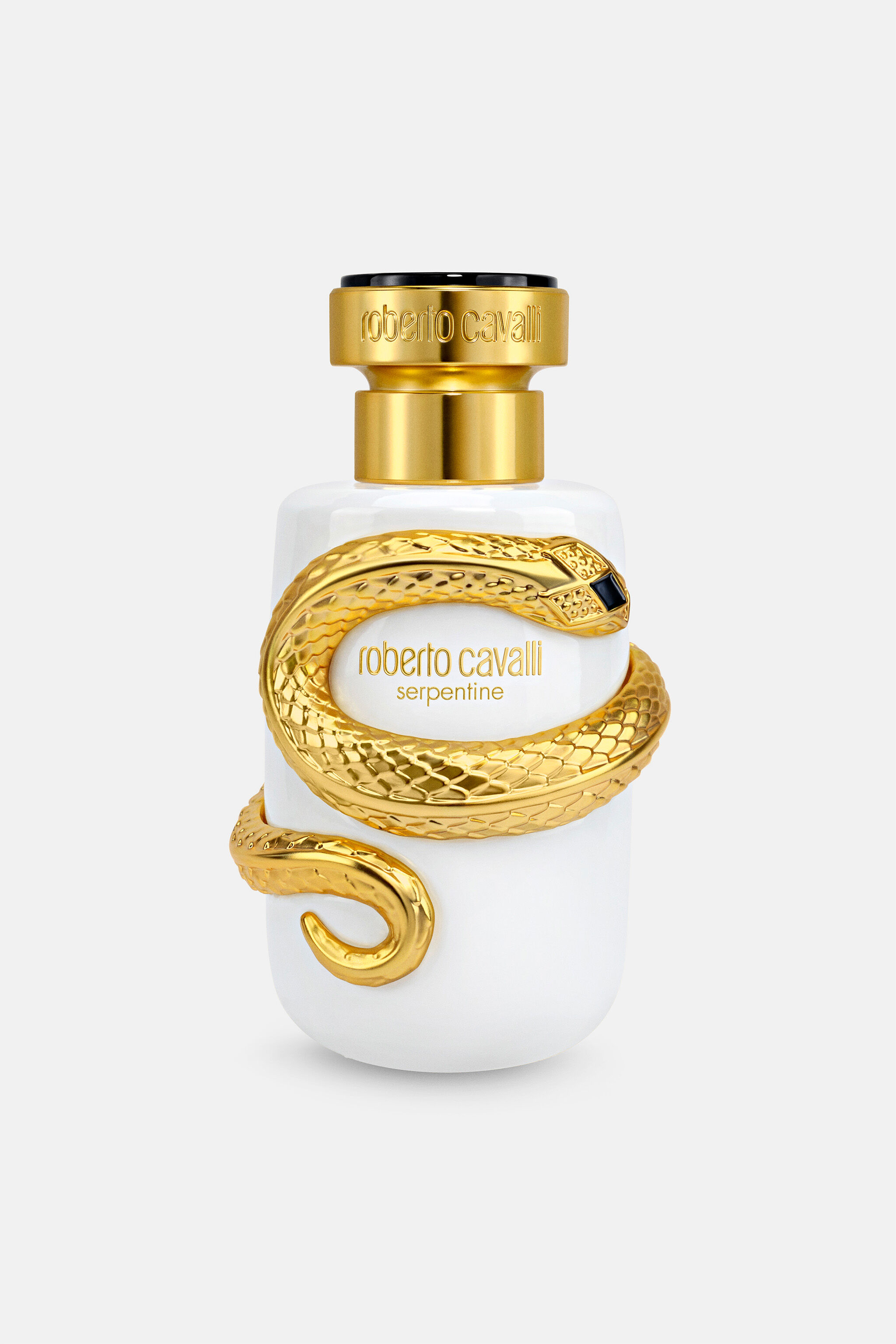 RC Serpentine Parfum 100 ml GENERIC UALI15-II019
