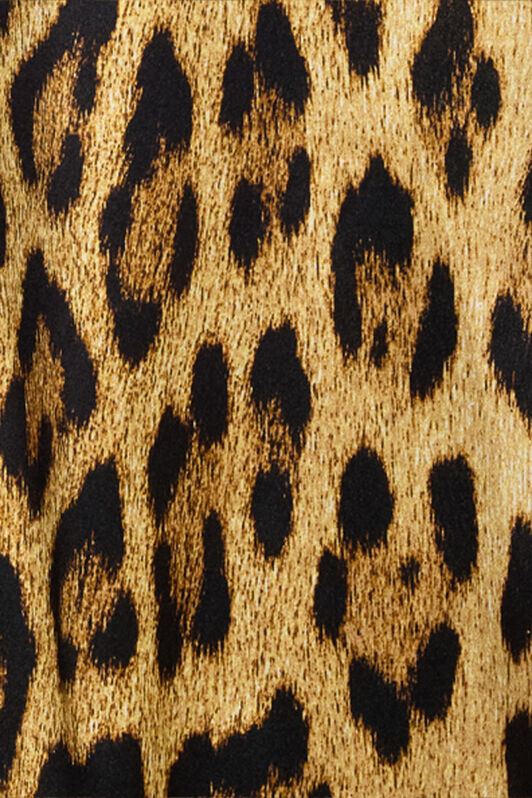 RC Camisa De Seda Con Estampado Jaguar Skin Marrón VWT700-TYQ71
