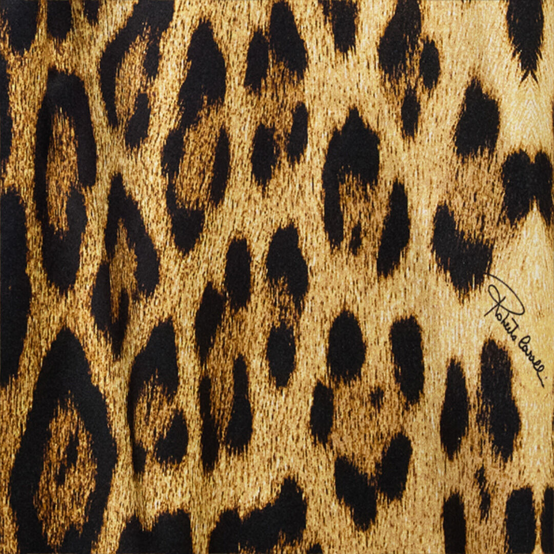 RC Camisa De Seda Con Estampado Jaguar Skin Marrón VWT700-TYQ71