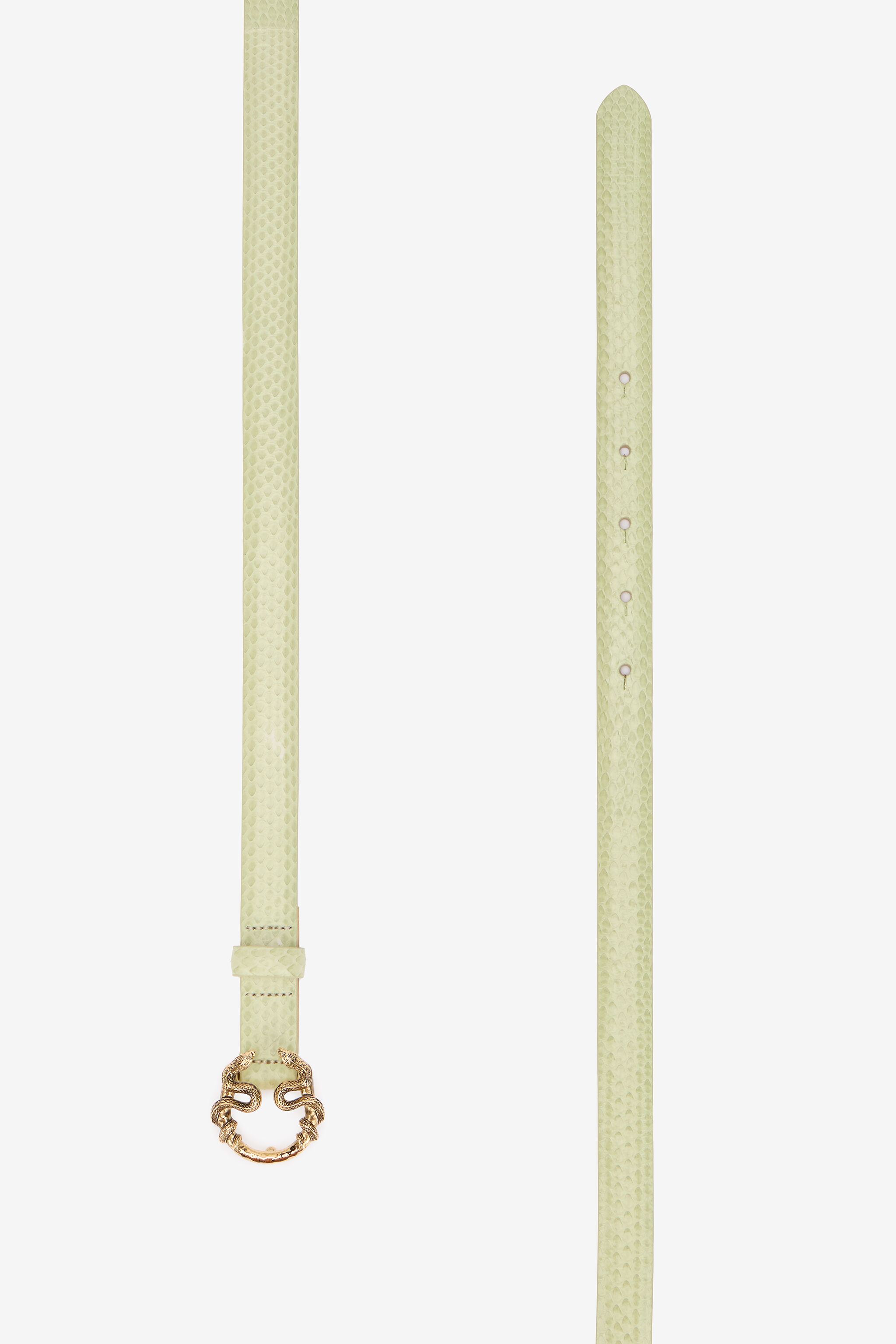 RC Hellgrüner Ledergürtel Mit Schlangenschnalle PISTACHIO WKC002-PA001