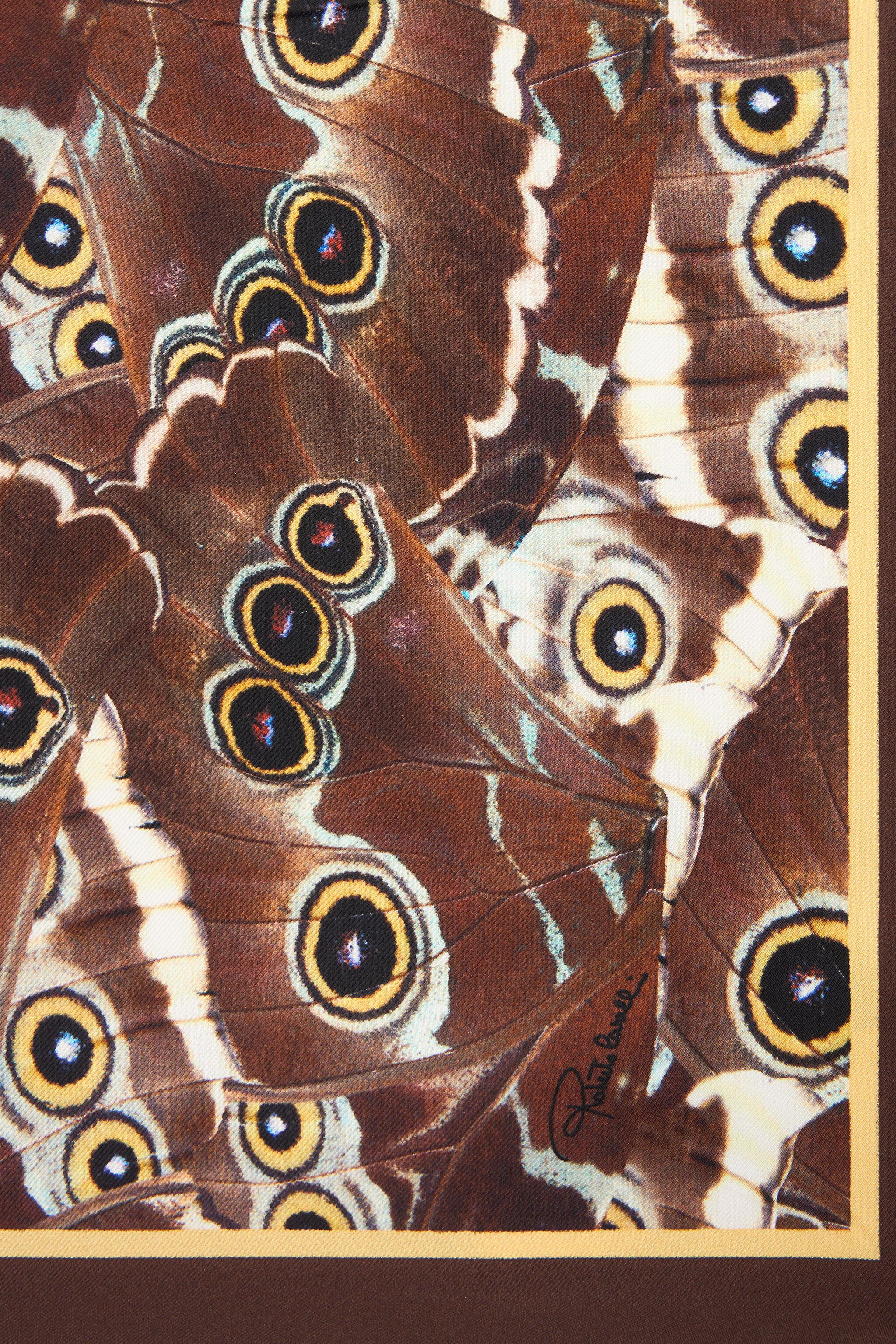 RC Mini Butterfly Druck Schal BROWN XQI008-OZT27