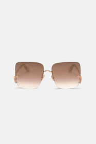 RC Sunglasses Roberto Cavalli - Snake Collection Brown SALD31-ID132