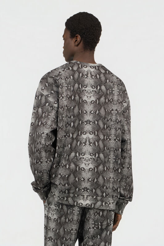 RC Sweatshirt Mit Python-Print PYTHON DARK GREY SOT66I-CF050