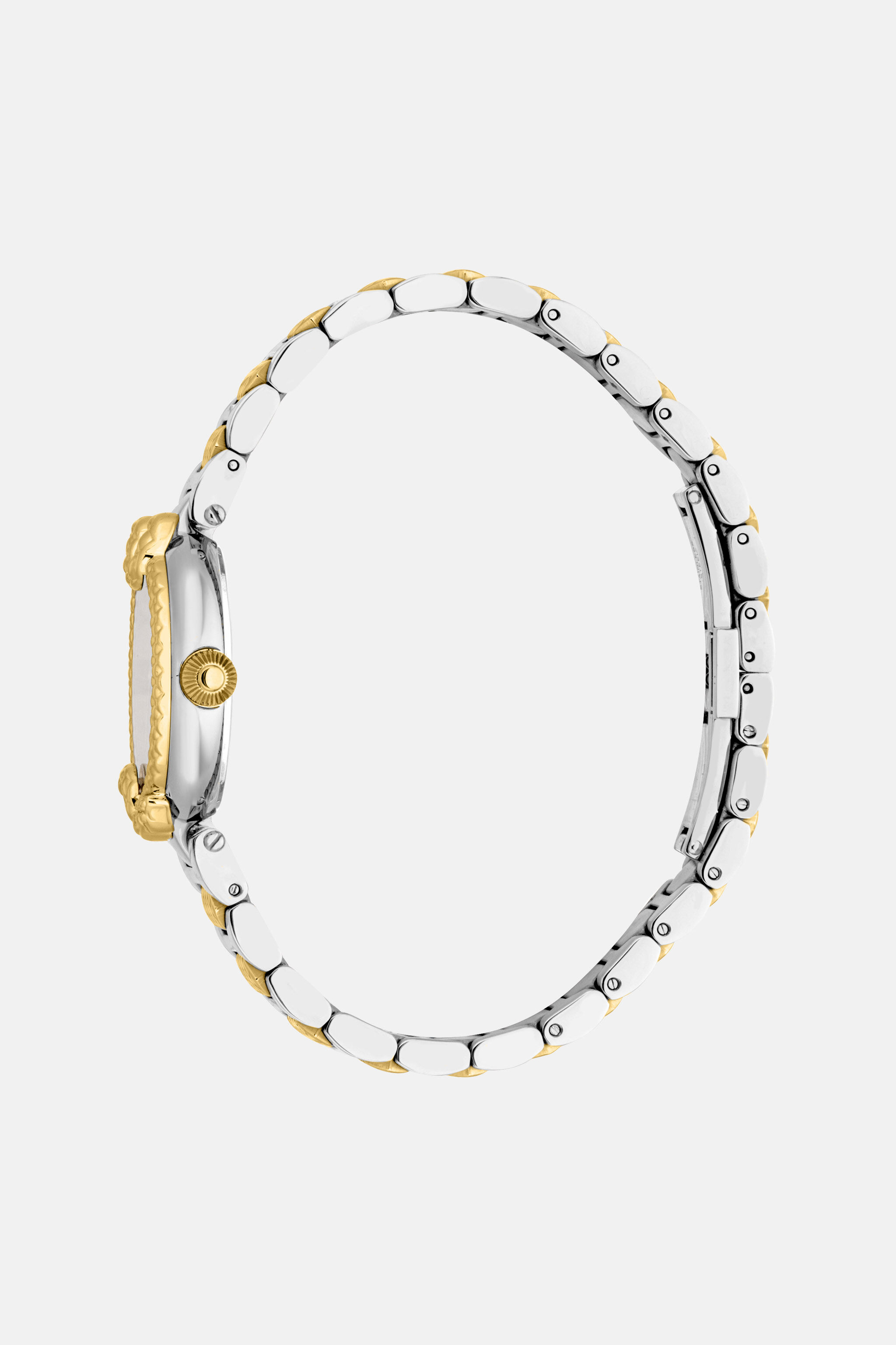 RC Roberto Cavalli by Frank Muller Snake Core watch Silber/Gold SALG25-IG169