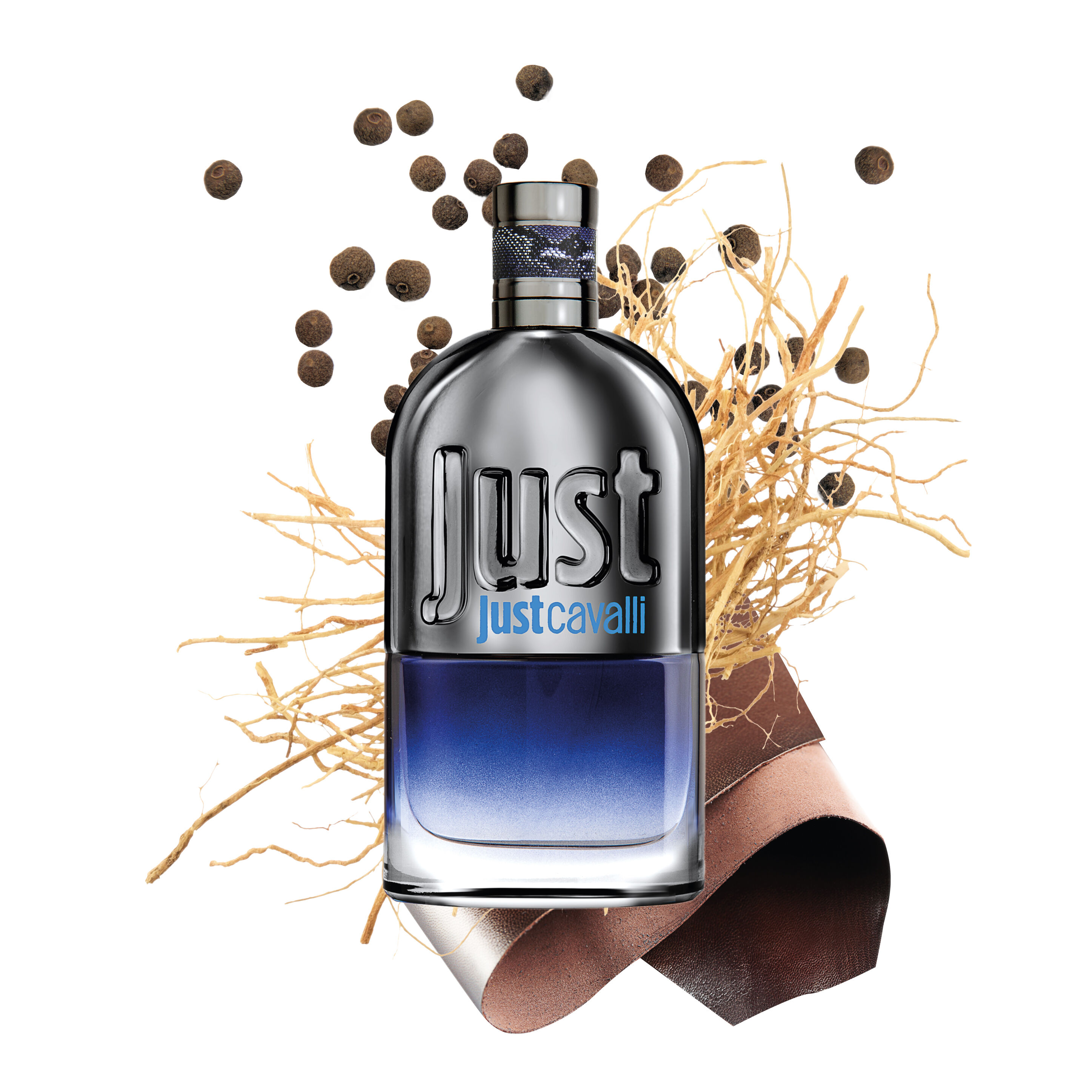 JC JUST CAVALLI FOR HIM EAU DE TOILETTE 30 ML Blue SAW010-SA015