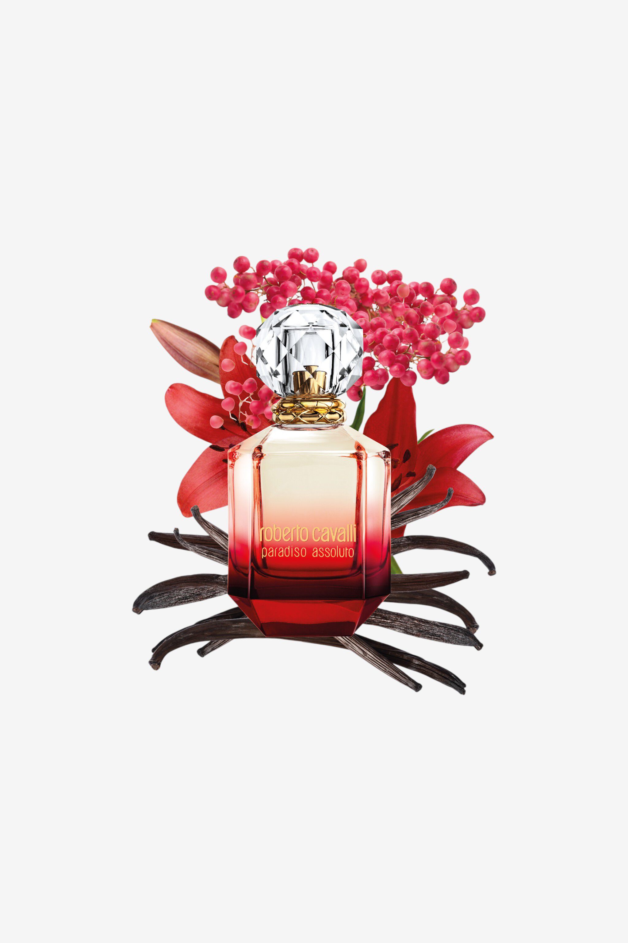 RC Paradiso Assoluto Eau de Parfum 50 ml Rojo SAW005-SA009