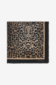 RC Roberto Cavalli shawl with Queen of Sicily print Dark brown SYI00B-3NL55