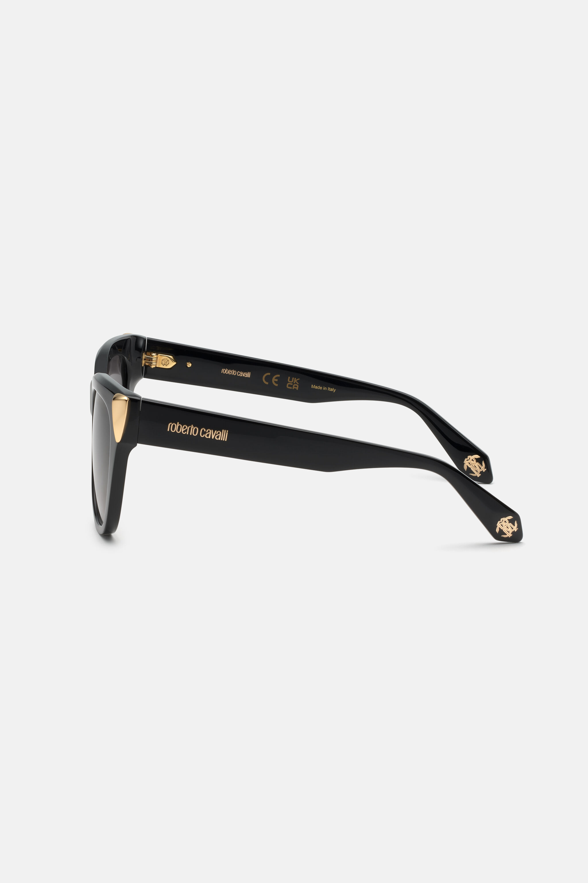 RC Sunglasses with feminine cat-eye and feng on sides Noir ALD029-ID189