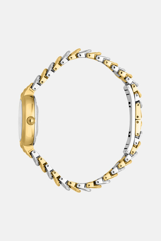 RC Roberto Cavalli by Frank Muller Logo watch Silber/Gold SALG22-IG166
