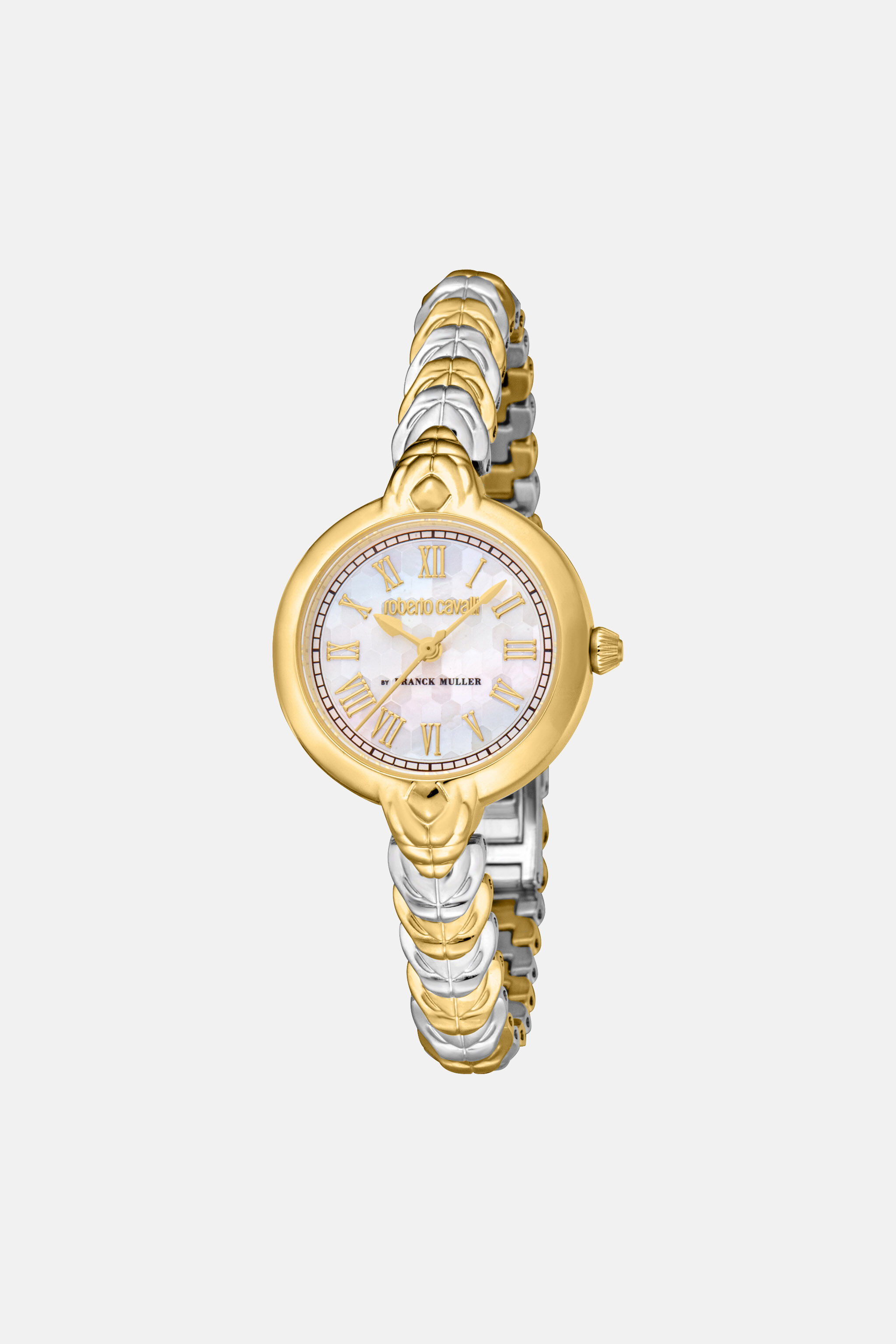 RC Roberto Cavalli by Frank Muller Logo watch Silber/Gold SALG22-IG166