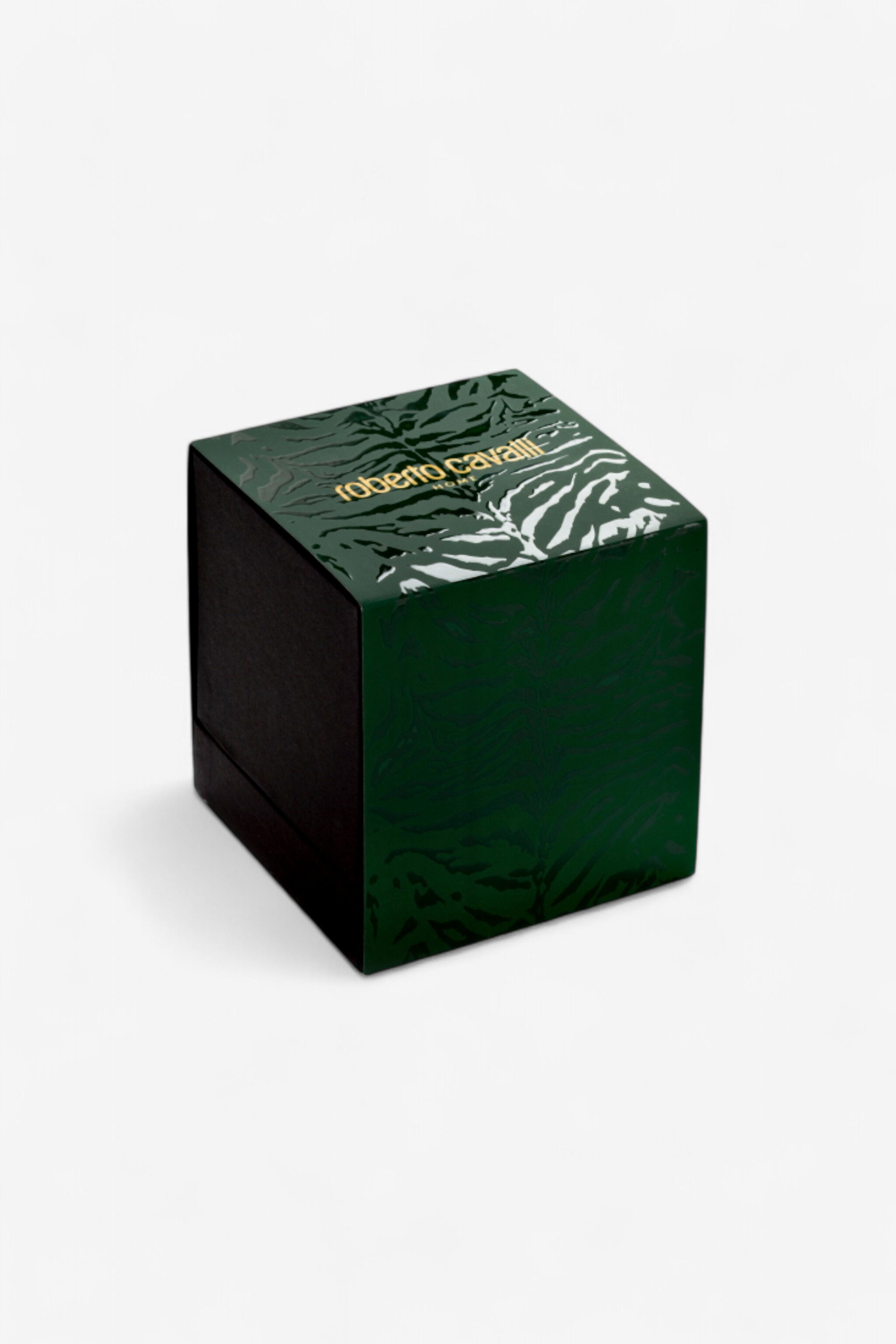 HO Wild Jungle Scented Candle 220 G Verde oscuro TALA04-IA098