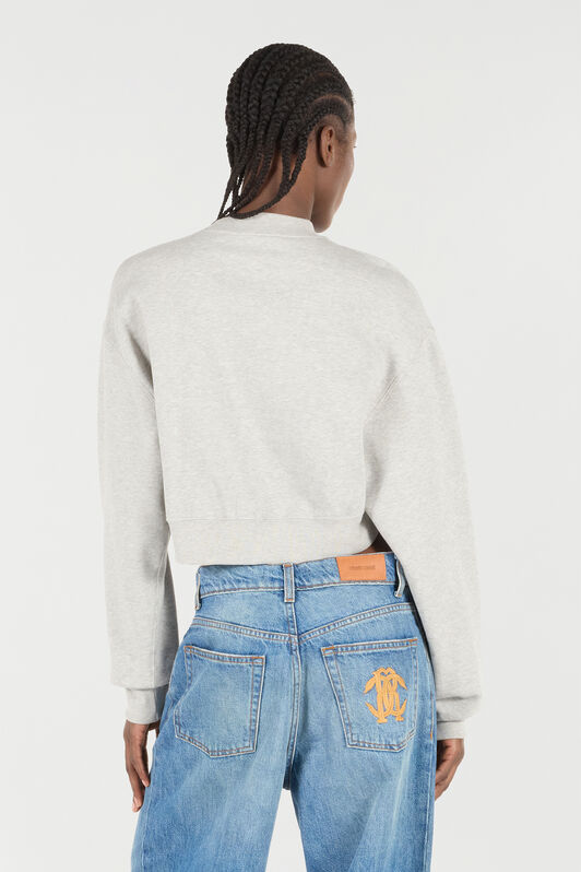 RC Felpa Cropped Con Monogram Mirror Snake Grigio VKT68A-CF007