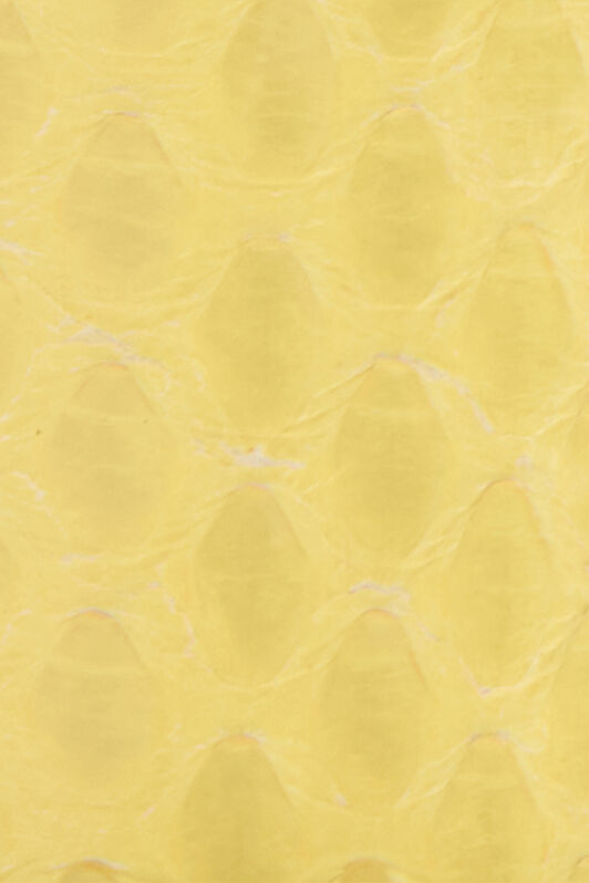 RC Gelber Ledergürtel Mit Schlangenschnalle YELLOW WKC002-PA001