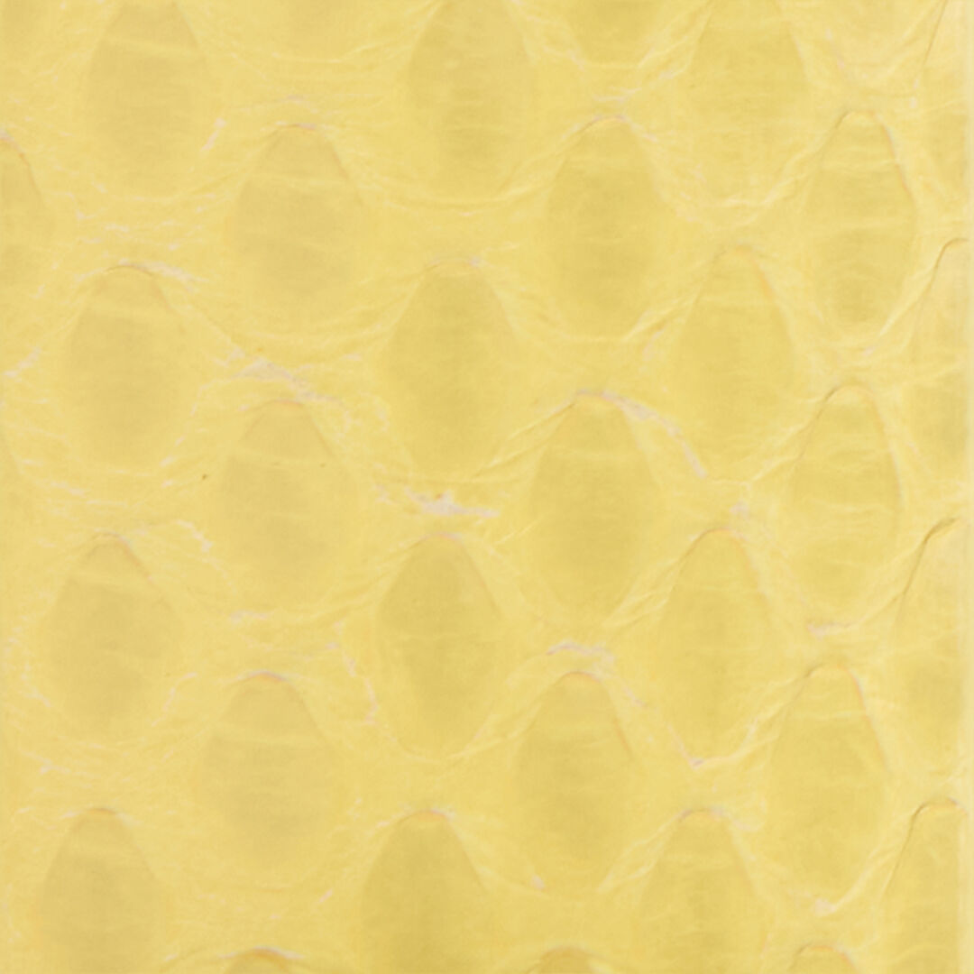 RC Gelber Ledergürtel Mit Schlangenschnalle YELLOW WKC002-PA001
