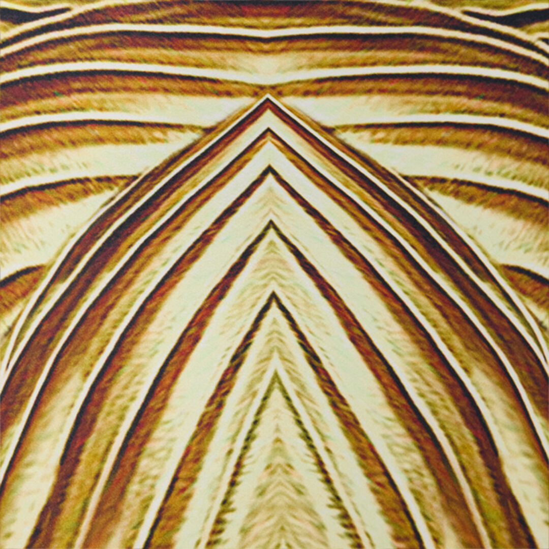 RC Langes Seidenkleid mit Iside-Print SAHARA WWT134-RYS34