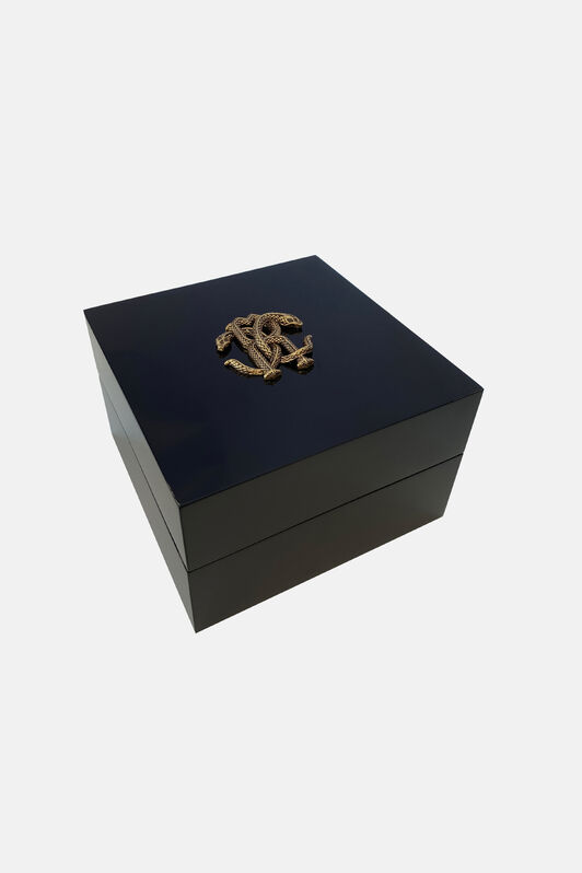 RC Uhr Für Herren Von Roberto Cavalli By Franck Muller SILVER DARK BLUE UALT07-IT536