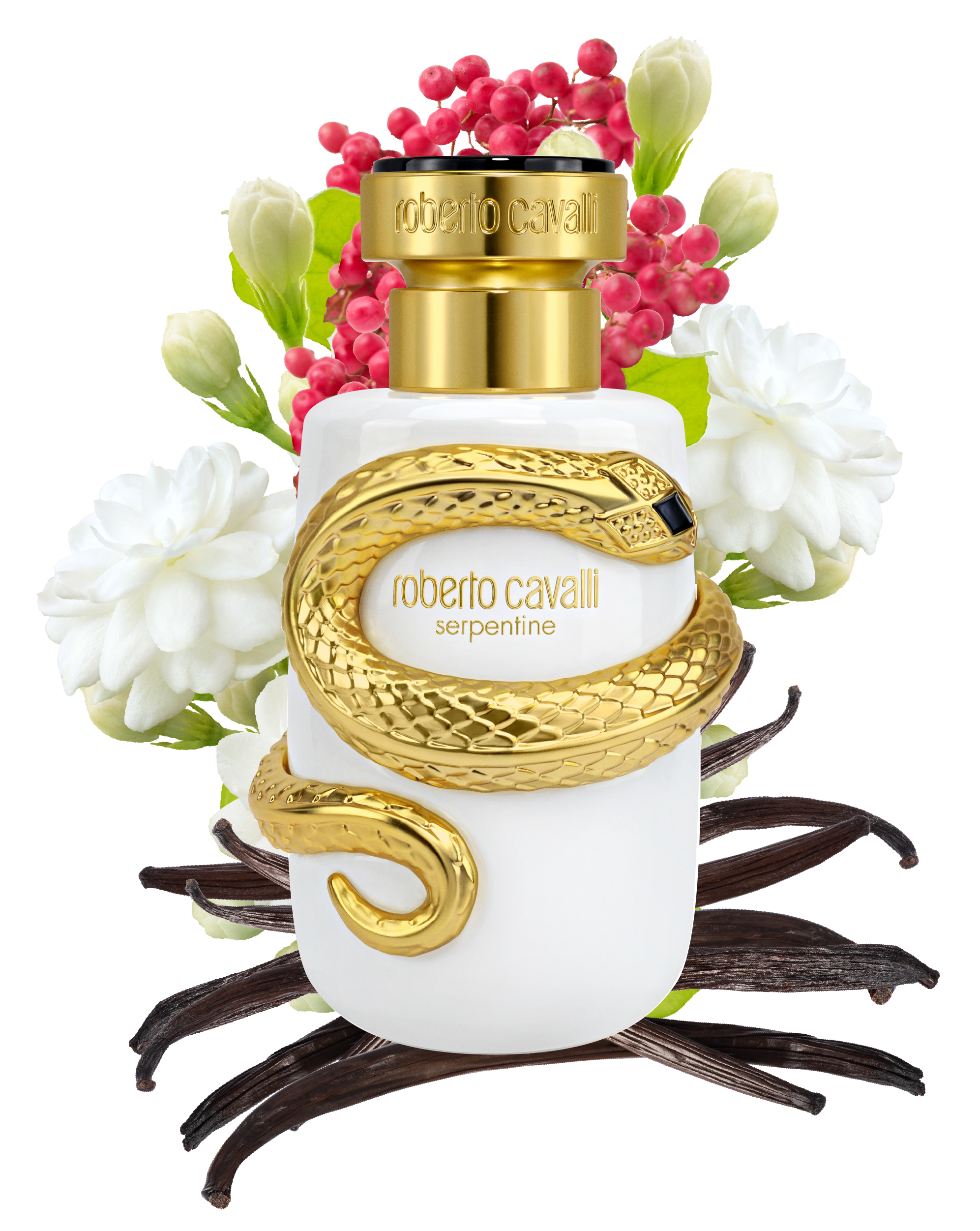 RC Serpentine Parfum 100 ml GENERIC UALI15-II019