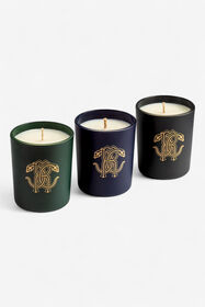 HO Gold Jungle Set of Three Scented Candles 80 G Multicolor TALA02-IA096