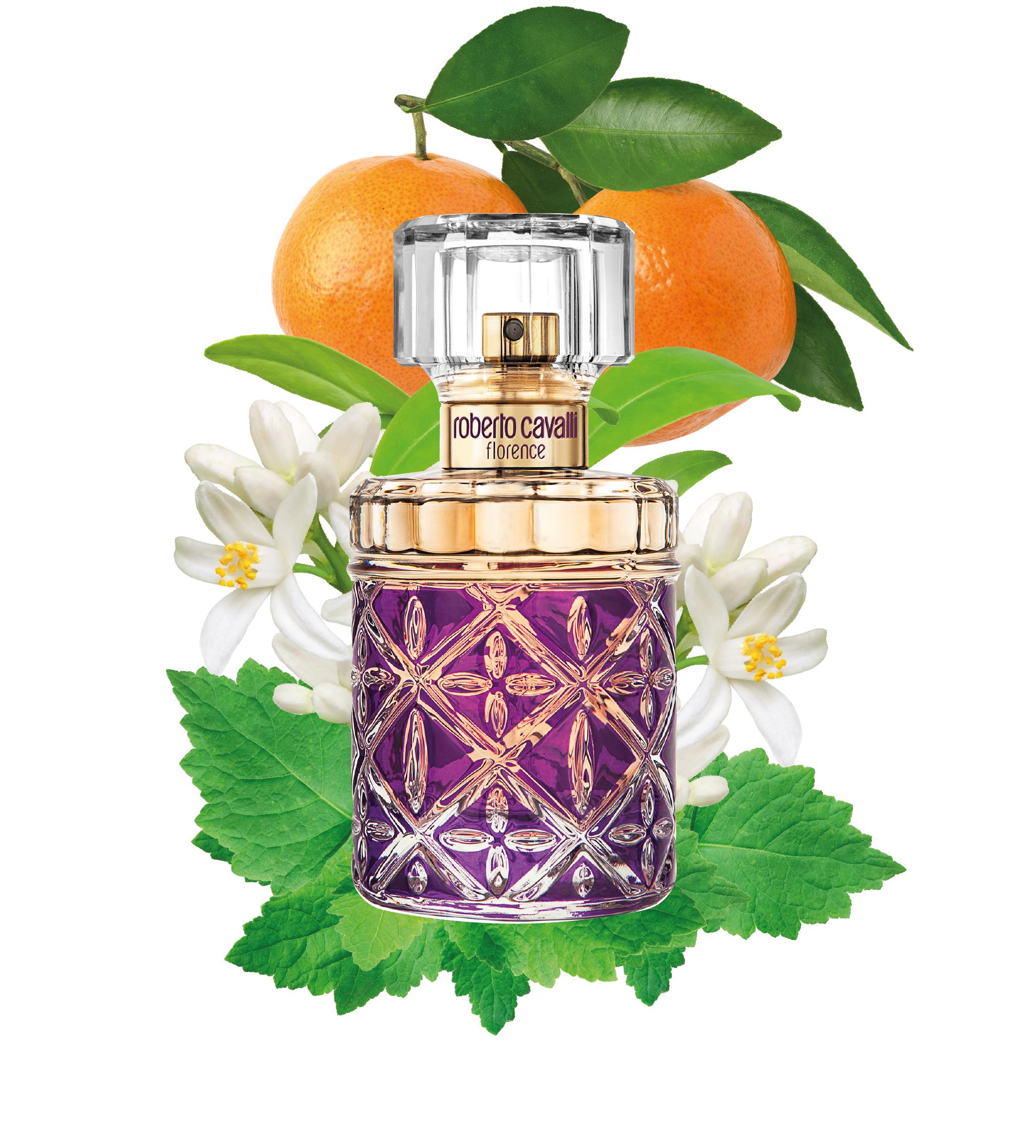 RC Florence Eau de Parfum 75 ml Violet SAW014-SA021