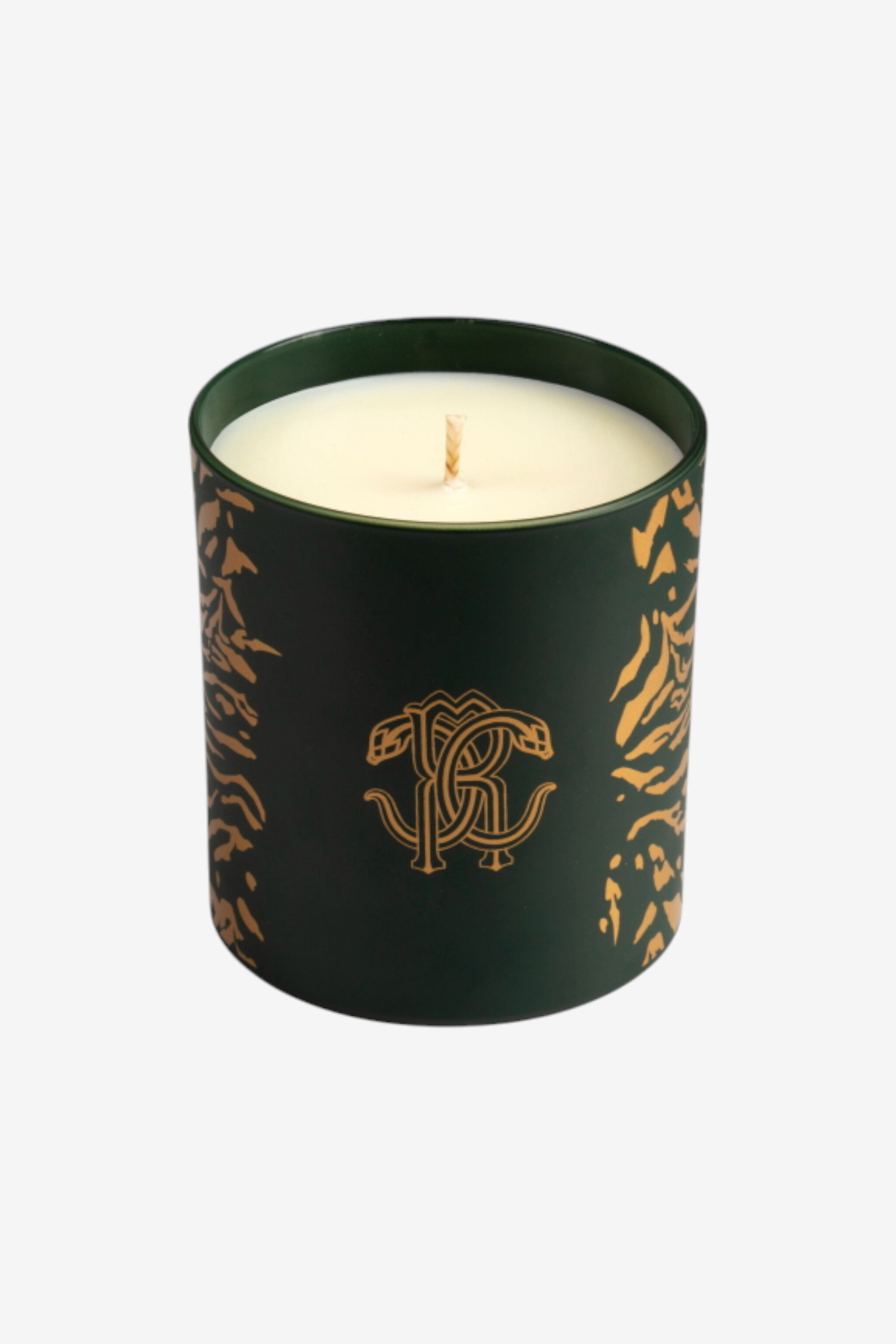 HO Wild Jungle Scented Candle 220 G Verde oscuro TALA04-IA098