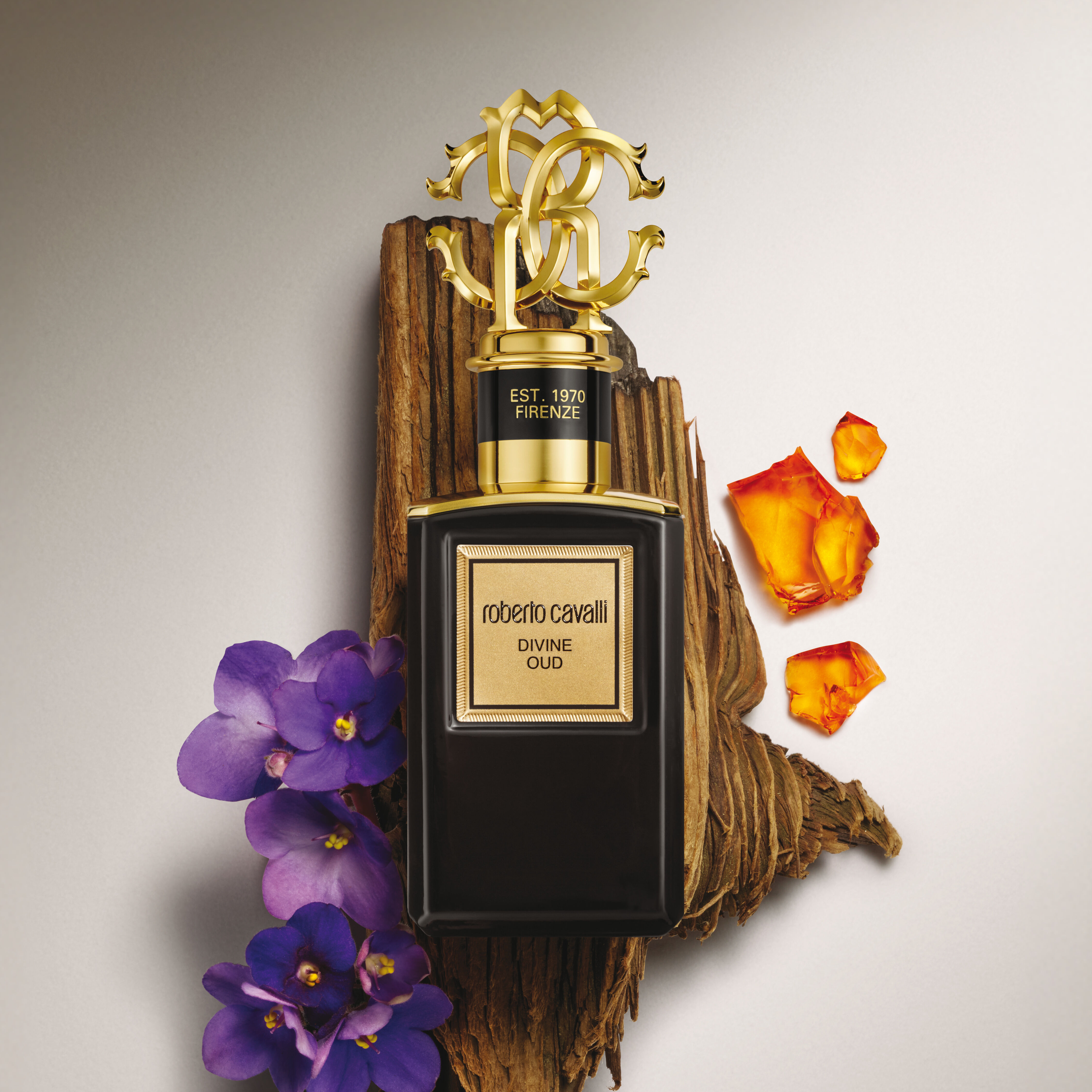 RC Gold Collection Divine Oud Eau De Parfum 100 ml Black SAW020-SA028