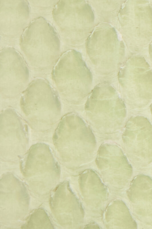 RC Hellgrüner Ledergürtel Mit Schlangenschnalle PISTACHIO WKC002-PA001