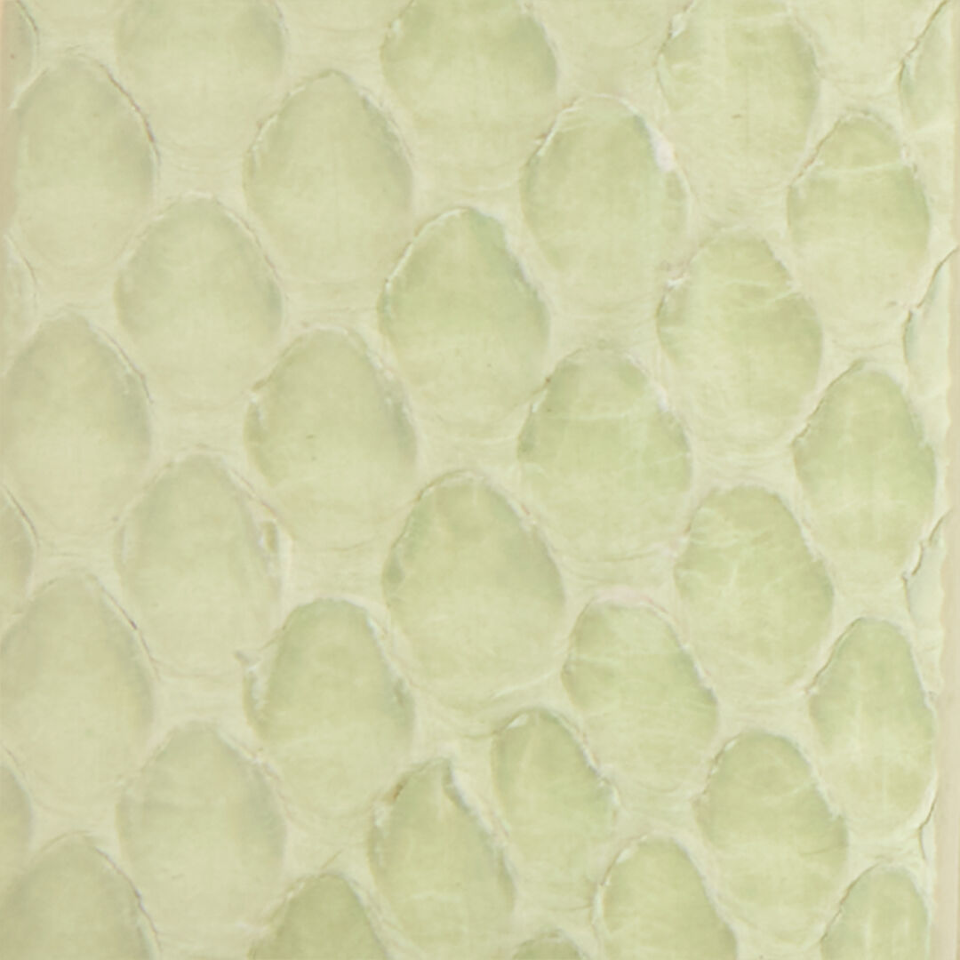 RC Hellgrüner Ledergürtel Mit Schlangenschnalle PISTACHIO WKC002-PA001