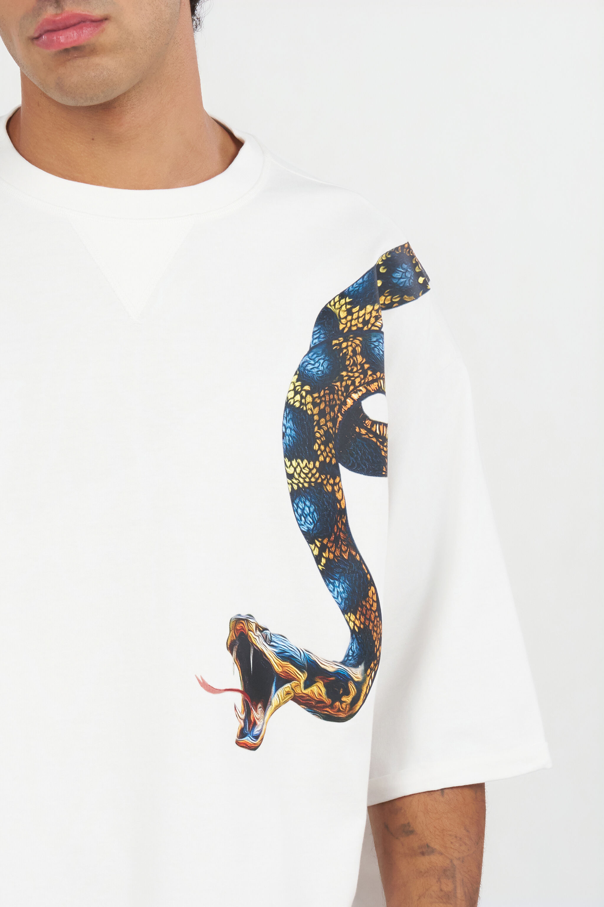 RC Camiseta oversize con estampado de serpiente WHITE WRT62B-JD060